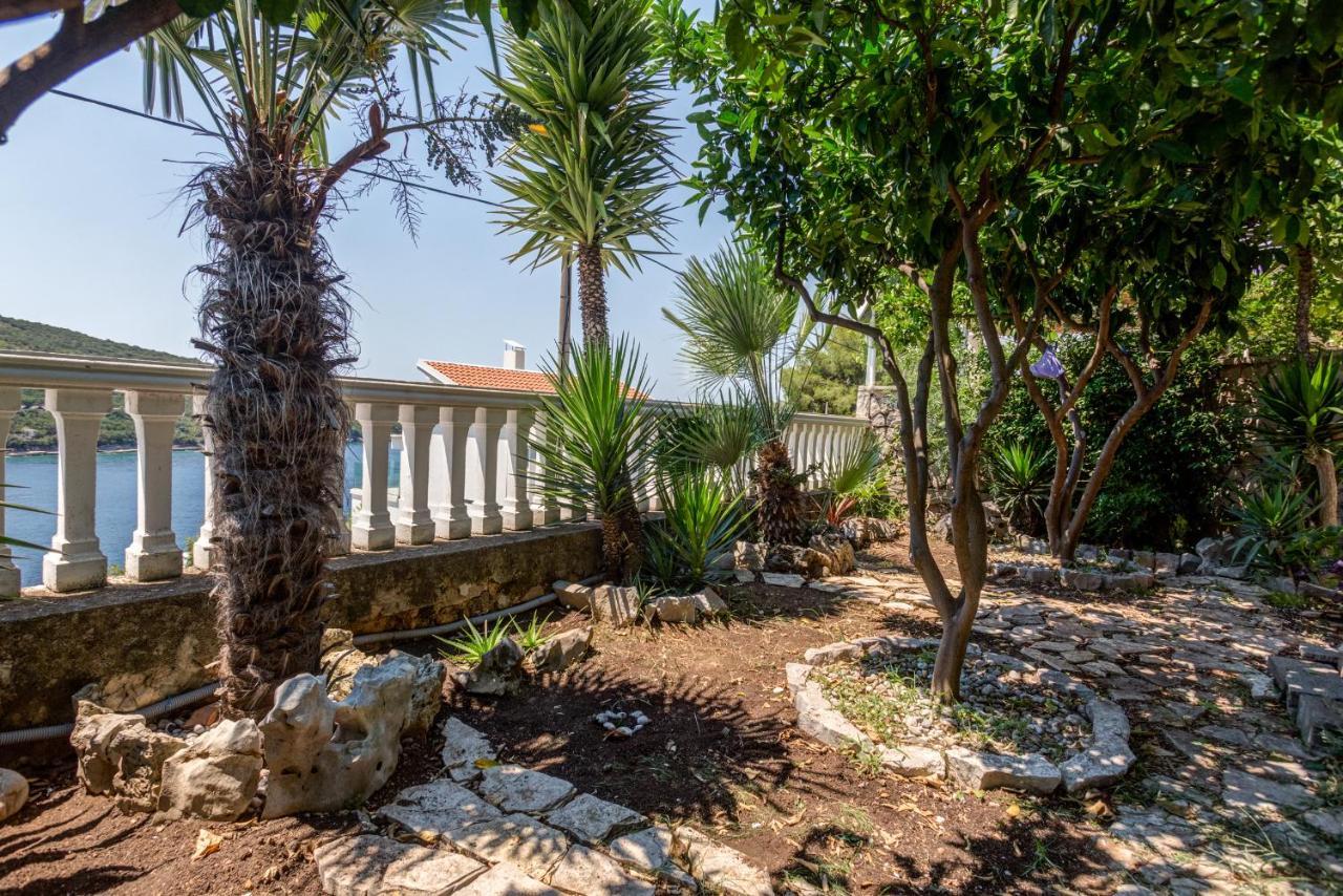 Sea Oasis Apartments - Milosevic Kotor Exterior foto